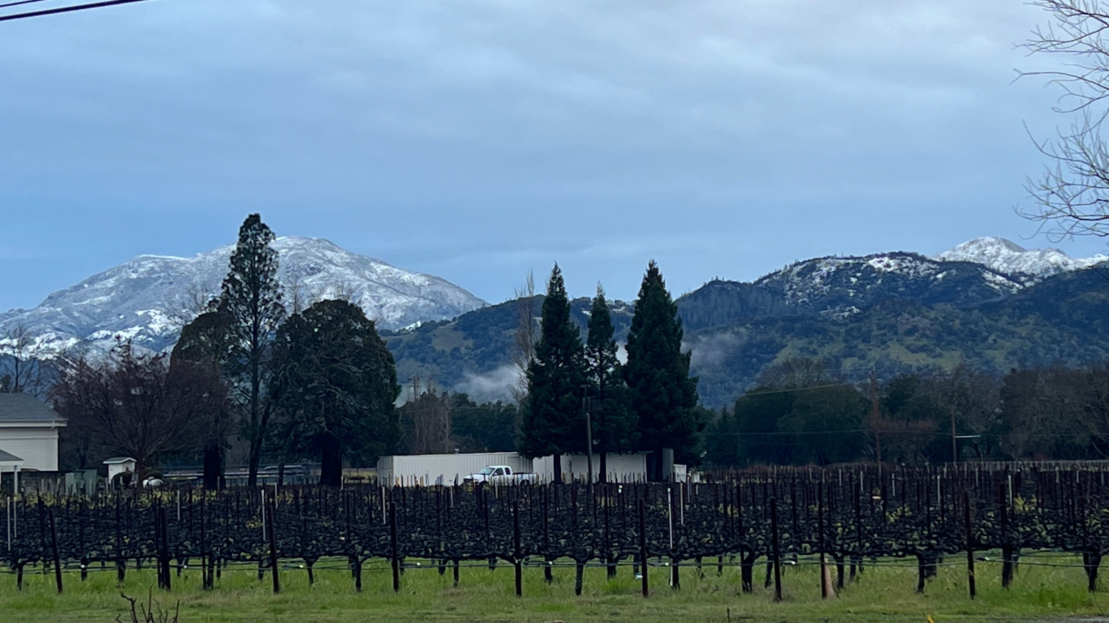 5 Reasons to Cycle Napa Valley in the Winter