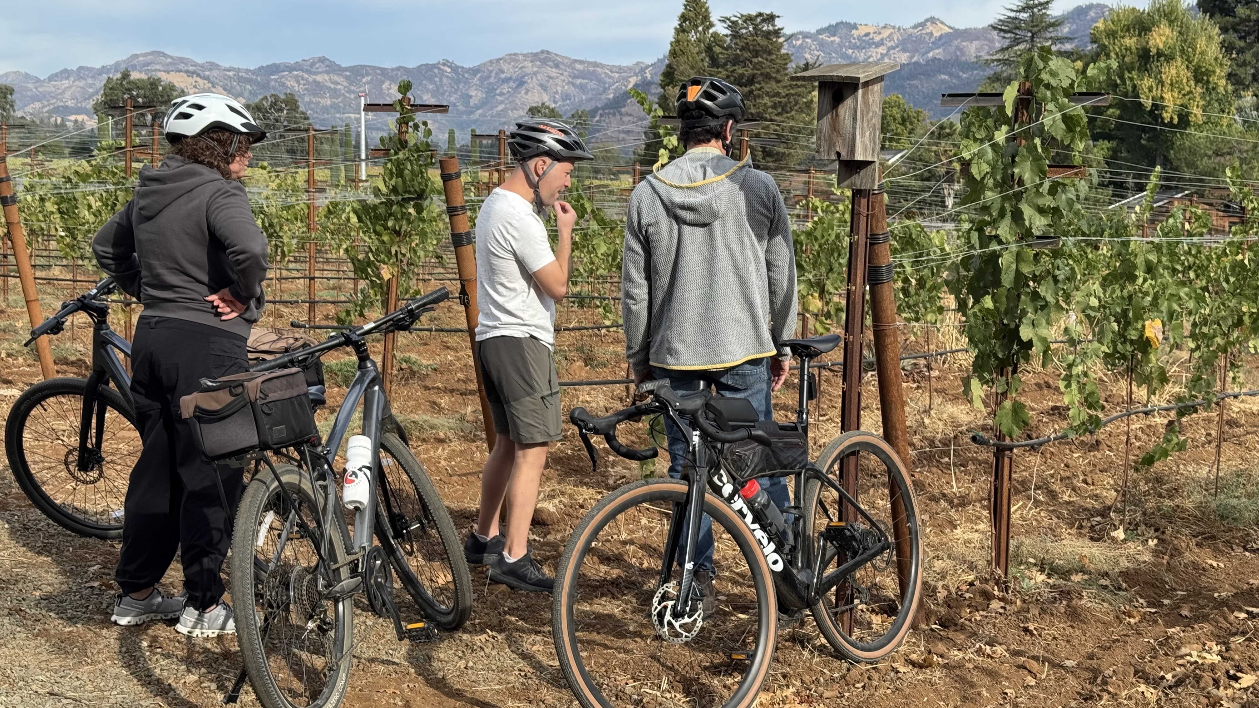 Vitni Ride Olabisi Wines and Vine Trail Adventures Honored for their Ride With A ...